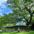 安隐寺遗址公园 - 杭州市旅游 缩略图 9