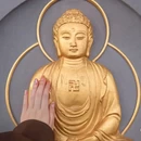 金华十二杉房开元名庭度假酒店 - 金华市旅游 缩略图 4