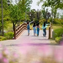 尼山鲁源村景区 - 济宁市旅游 缩略图 2