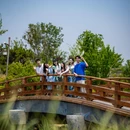 尼山鲁源村景区 - 济宁市旅游 缩略图 3