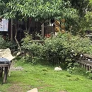 Hipark凤凰海购物公园 - 长沙市旅游 缩略图 4