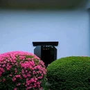 京都 - 漳州市旅游 缩略图 3