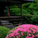 京都 - 漳州市旅游 缩略图 5