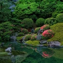京都 - 漳州市旅游 缩略图 1