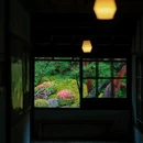 京都 - 漳州市旅游 缩略图 6