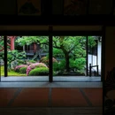 京都 - 漳州市旅游 缩略图 9