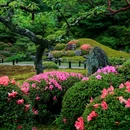 京都 - 漳州市旅游 缩略图 7