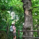 岷岗风景名胜区 - 温州市旅游 缩略图 5