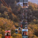 厦门大学嘉庚学院 - 漳州市旅游 缩略图 5