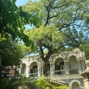 厦门大学嘉庚学院 - 漳州市旅游 缩略图 7