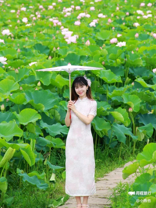 花田坝子 - 重庆市旅游