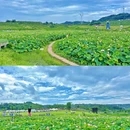 花田坝子 - 重庆市旅游 缩略图 4