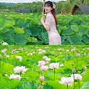 花田坝子 - 重庆市旅游 缩略图 8