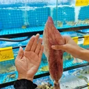 锦记饮食世家(江南西店) - 广州市旅游 缩略图 4