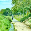 深圳市东湖公园 - 深圳市旅游 缩略图 5