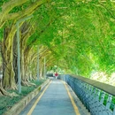 深圳市东湖公园 - 深圳市旅游 缩略图 7