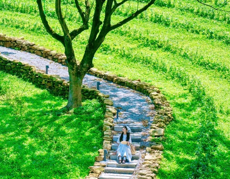 黄埔红岭头红茶创意园 - 广州市旅游 1