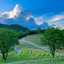 黄埔红岭头红茶创意园 - 广州市旅游 缩略图 9