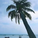 爱华酒店(海南琼海市中心高铁站万泉河店) - 琼海市旅游 缩略图 2