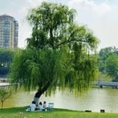 白马公园-东南门 - 南京市旅游 缩略图 6