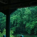 钟山风景区-流徽榭 - 南京市旅游 缩略图 1