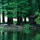 钟山风景区-流徽榭 - 南京市旅游 缩略图 5
