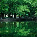 钟山风景区-流徽榭 - 南京市旅游 缩略图 4