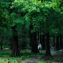 钟山风景区-流徽榭 - 南京市旅游 缩略图 3