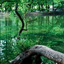 钟山风景区-流徽榭 - 南京市旅游 缩略图 6