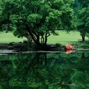 钟山风景区-流徽榭 - 南京市旅游 缩略图 7