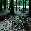 钟山风景区-流徽榭 - 南京市旅游 缩略图 9