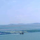 南澳海岛国家森林公园 - 汕头市旅游 缩略图 9