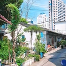 西咸欢河沿 - 绍兴市旅游 缩略图 2