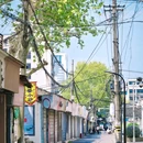 西咸欢河沿 - 绍兴市旅游 缩略图 6