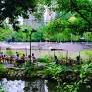 活水公园 - 成都市旅游 缩略图 9