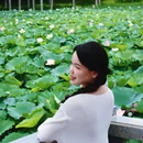 洪湖公园 - 深圳市旅游 缩略图 8