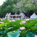 洪湖公园 - 深圳市旅游 缩略图 5