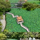 洪湖公园 - 深圳市旅游 缩略图 3