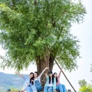尼山鲁源村景区 - 济宁市旅游 缩略图 2