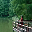 七星岩风景区 - 肇庆市旅游 缩略图 5