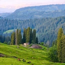库尔德宁景区 - 伊犁哈萨克自治州旅游 缩略图 1
