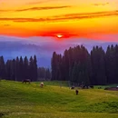 库尔德宁景区 - 伊犁哈萨克自治州旅游 缩略图 6