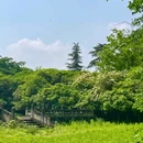 毛家湾森林公园 - 成都市旅游 缩略图 9