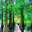 燕雀湖风景区 - 南京市旅游 缩略图 2