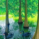 燕雀湖风景区 - 南京市旅游 缩略图 4