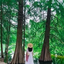 燕雀湖风景区 - 南京市旅游 缩略图 7