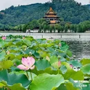 顺峰山公园 - 佛山市旅游 缩略图 1