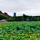 顺峰山公园 - 佛山市旅游 缩略图 8