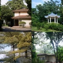 厦门悦华酒店 - 厦门市旅游 缩略图 8
