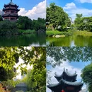 岭南和园 - 佛山市旅游 缩略图 8